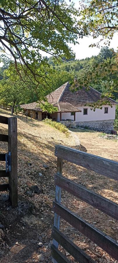 Ferienwohnung Poljoprivredno Turisticko Domacinstvo Deguric Valjevo Exterior foto