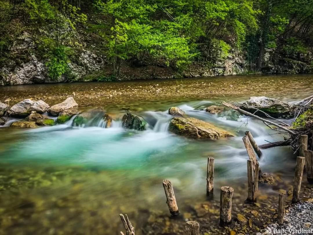 Ferienwohnung Poljoprivredno Turisticko Domacinstvo Deguric Valjevo Exterior foto