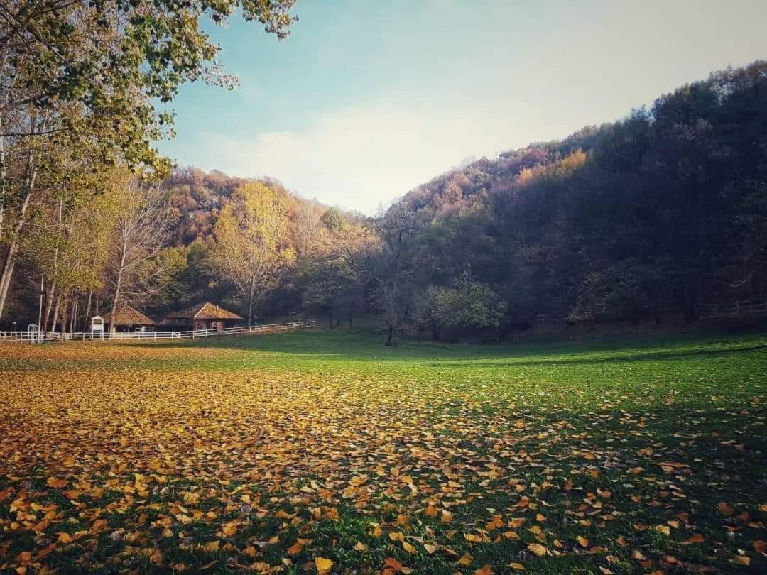 Ferienwohnung Poljoprivredno Turisticko Domacinstvo Deguric Valjevo Exterior foto