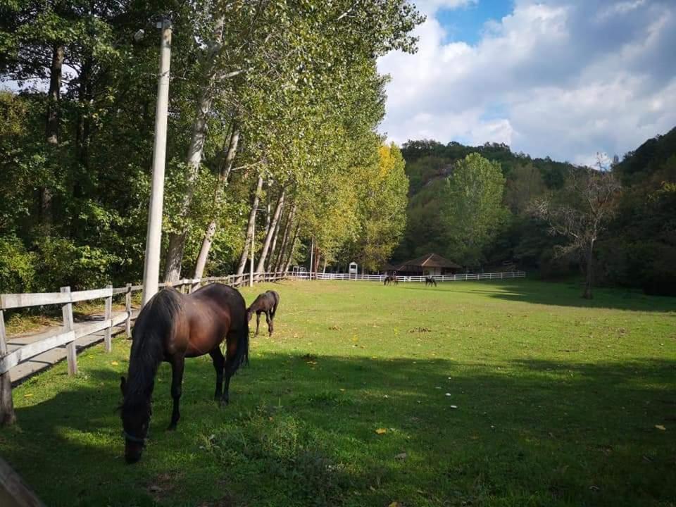 Ferienwohnung Poljoprivredno Turisticko Domacinstvo Deguric Valjevo Exterior foto