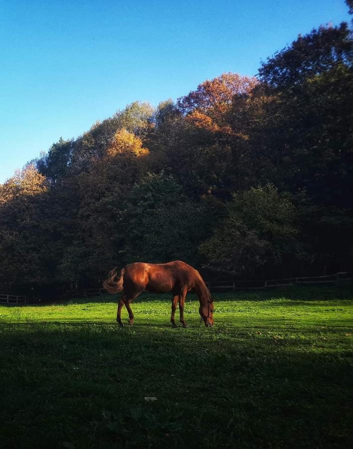 Ferienwohnung Poljoprivredno Turisticko Domacinstvo Deguric Valjevo Exterior foto