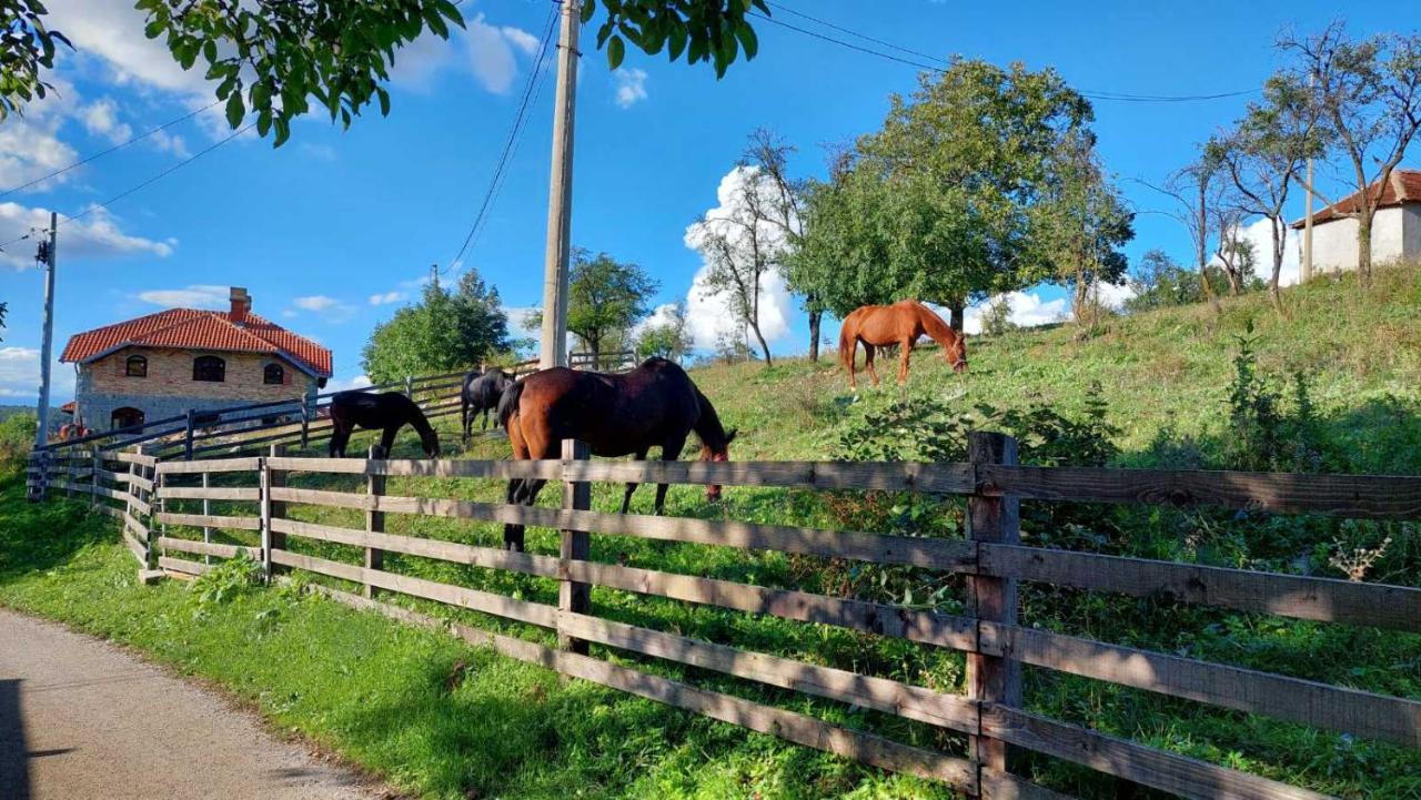 Ferienwohnung Poljoprivredno Turisticko Domacinstvo Deguric Valjevo Exterior foto