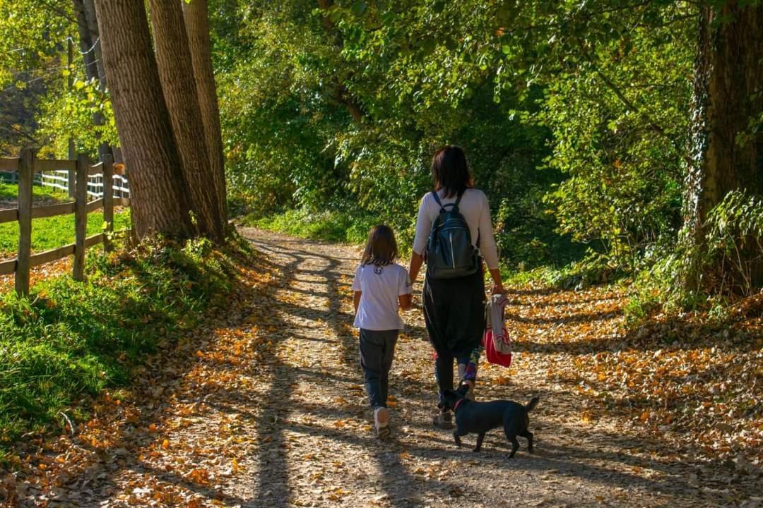 Ferienwohnung Poljoprivredno Turisticko Domacinstvo Deguric Valjevo Exterior foto
